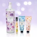 ���ɰ����� ������� 500ml+�ٵ�̽�Ʈ+�ڵ�ũ�� 2��