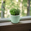 �÷�Ʈ �ڵ��޼� ȭ�� (16.5x17cm) (�׸�)